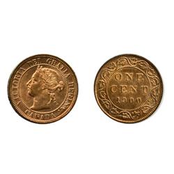 1900. Plain.  ICCS Mint State-64. Red.  90%+ red luster.