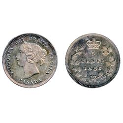 1886. Small 6.  ICCS Mint State-64. Heavy Cameo.  Golden brown toning and flashy cameo contrast.  In