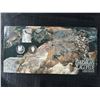 Image 5 : 1995 Canada Birds 50 Cent Sterling Silver Coin Set (Gray Jay & Ptarmigan)