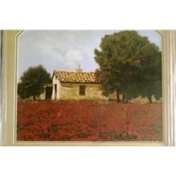 "House Among The Poppies" Borelli