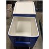 Image 3 : L1 - Rolling Cooler, Approx. H33" x W35" x D18"