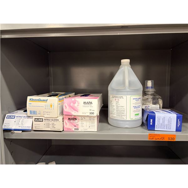 L2 - Shelf Contents - Disposable Latex Gloves, Isopropyl Alcohol, Hand Sanitizer