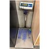 Image 1 : L1 - TCS-300 Electronic Scale (300kg Max Capacity)