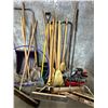 Image 3 : L1 - Assortment of Maintenance, Cleaning & Garden Tools