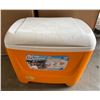 Image 4 : L1 - 2-Boxes of Hanging Baskets and Cooler (41 Can Capacity)