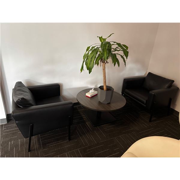 L2 - Group - Black Leather Chairs w/ Coffee Table & Plant