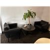 Image 1 : L2 - Group - Black Leather Chairs w/ Coffee Table & Plant