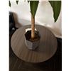 Image 3 : L2 - Group - Black Leather Chairs w/ Coffee Table & Plant