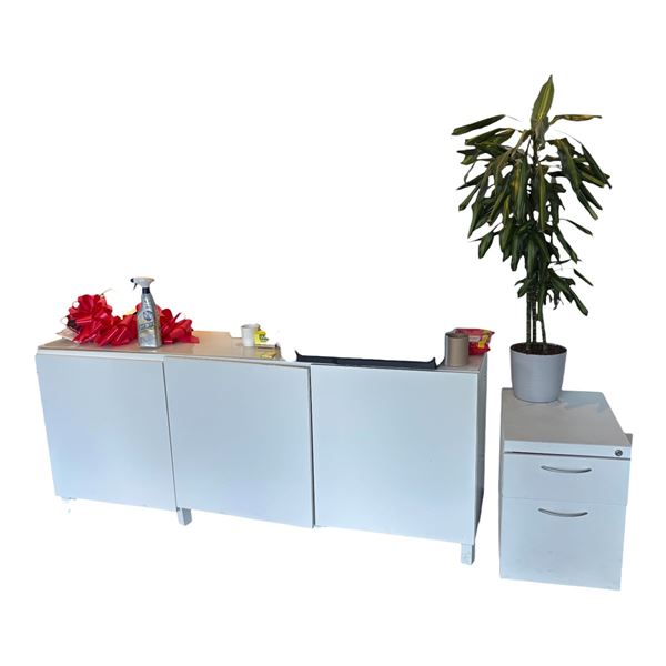 L2 - Group - 2 Cabinets, Misc. Office Supplies & plant