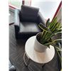 Image 2 : L2 - 5pc - (x3) Black Leather Chairs, End Table & Plant