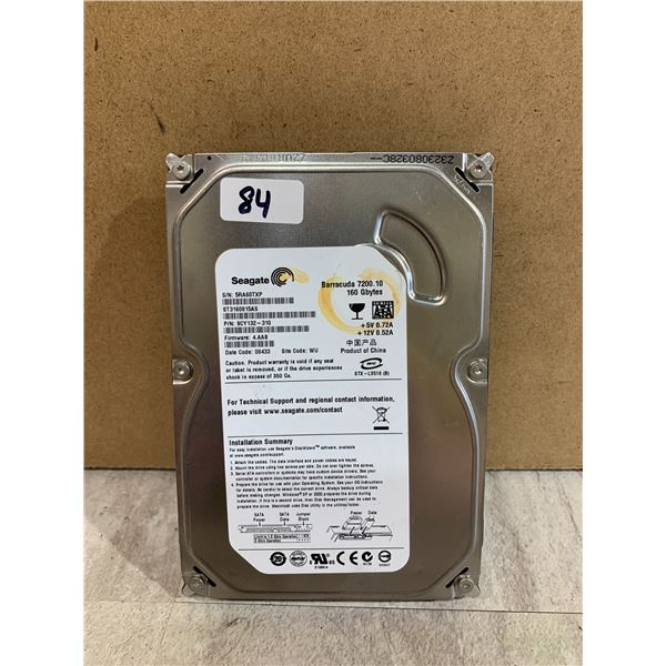 Seagate 160 GB Computer Hard Drive