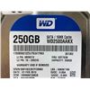 Image 2 : WD Blue 250 GB Computer Hard Drive