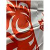 Image 3 : First Nations Design Canadian Flag / Banner