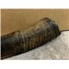 Image 4 : Water Buffalo Horn