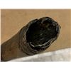 Image 6 : Water Buffalo Horn
