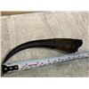 Image 8 : Water Buffalo Horn