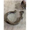 Image 5 : Stainless Steel Sanitary Tri-Clamp Assembly