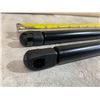 Image 3 : Shock Struts