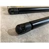Image 4 : Shock Struts