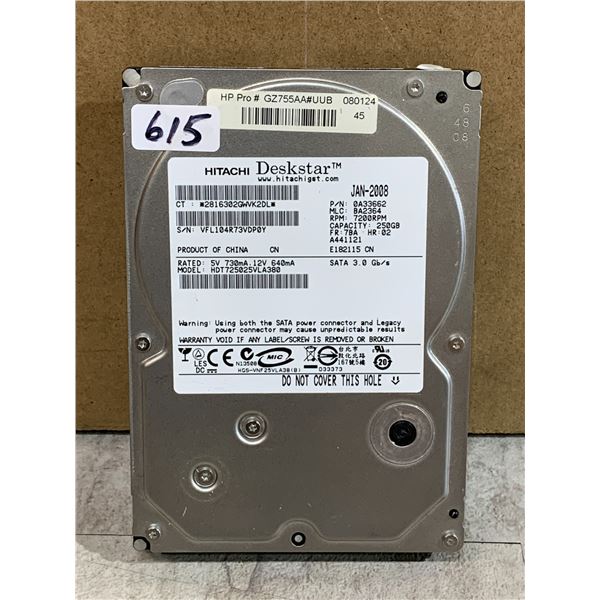 Hitachi Deskstar 250 GB Computer Hard Drive - Formatted