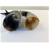Image 3 : Dolphin Horn Carvings