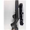 Image 2 : The Ruger 10/22 Rifle - Fifty Years 1964-2014