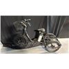 Image 1 : THUNDER E BIKE BLACK 7-SPEED ELECTRIC 3-WHEEL BICYCLE