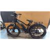 Image 1 : BLACK RAD POWER RADROVER POPULAR FLAGSHIP 7-SPEED ALL-TERRAIN FAT-TIRE ELECTRIC BIKE