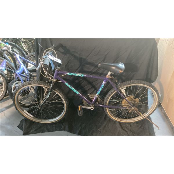 RALEIGH GENESIS 18 SPEED PURPLE MOUNTAIN BICYCLE