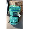 Image 1 : 12-METER HIGH-PERFORMANCE FREERIDE KITESURFING KITE AND STORAGE BACKPACK