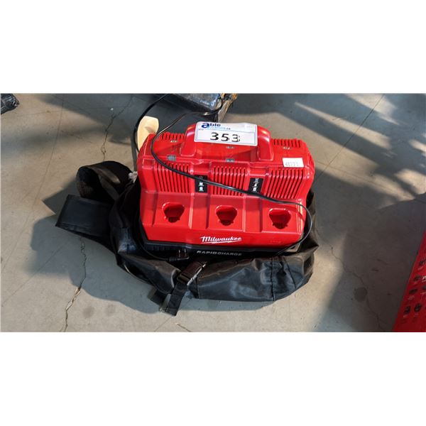 MULTI-VOLTAGE MULTI-PORT RAPID BATTERY CHARGING STATION APPARATUS WITH CANVAS TRANSPORT BAG