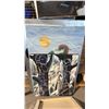 Image 3 : ASSORTED PAINTED CANVAS WALL ART IN VARIOUS SIZES
