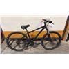 Image 2 : BLACK MARLIN 5 21-SPEED SR SUNTOUR XCE 28 SHIMANO ALTUS TEKTRO HYDRAULIC DISC BRAKES TRAIL BICYCLE