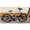 Image 2 : ROAM E+ 3 SYNCDRIVE CORE 400WH NEX E25 TEKTRO HYDRAULIC DISC BRAKES 14-SPEED E-BIKE