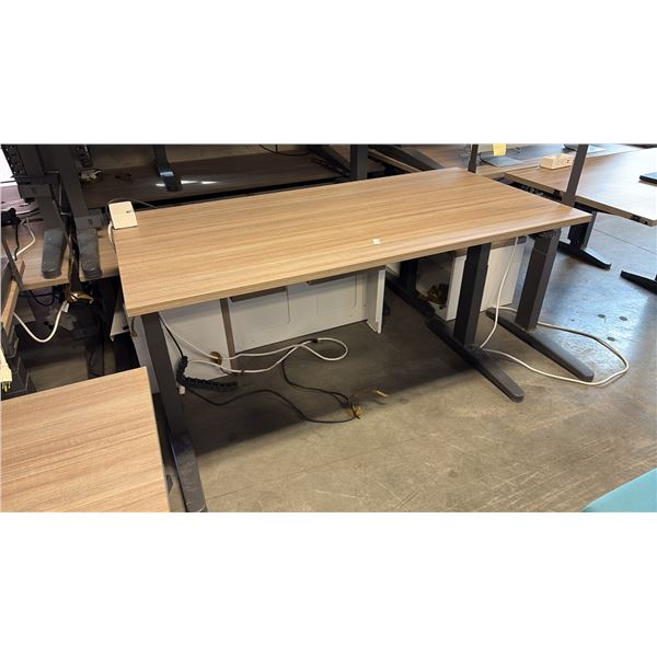 ASH WOOD STEELCASE ELECTRIC HEIGHT-ADJUSTABLE DESK 60"X30" IN