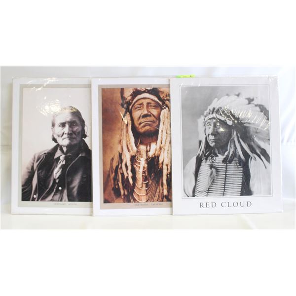 3 INDIGENOUS POSTERS