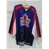 Image 1 : AUTOGRAPHED ROCK TORONTO LACROSSE