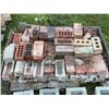 Image 3 : Red Clay Bricks and 4 Concrete Cinder Blocks