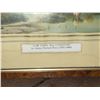 Image 7 : 2 Framed Prints and Log Cabin Birdhouse