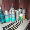 Image 4 : Plastic Utility Shelf with Assorted Hot Tub and Cleaning Products