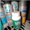 Image 5 : Plastic Utility Shelf with Assorted Hot Tub and Cleaning Products