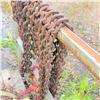 Image 7 : Tow Chains, Reese Tow Power Hitch, Load Binders, and Straps
