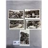 Image 2 : Vintage Butchart Gardens Scene-O-Graph Photos
