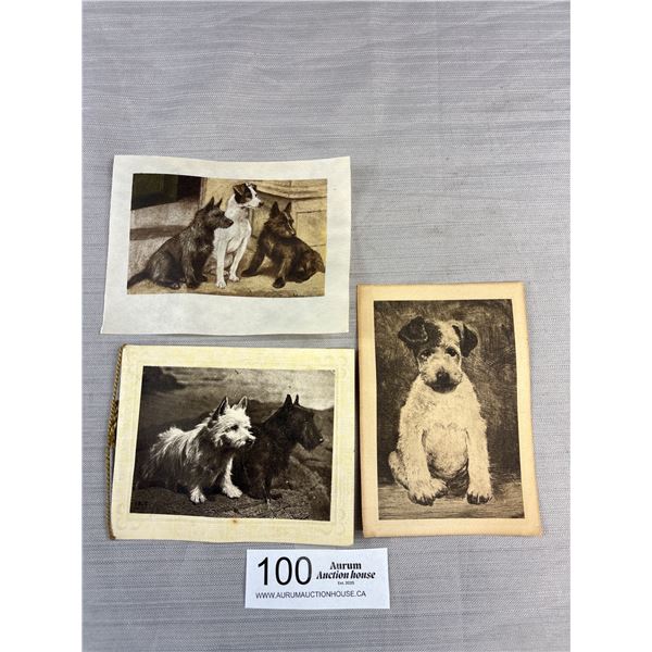 3 Vintage Dog Engravings/Cards