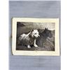 Image 2 : 3 Vintage Dog Engravings/Cards