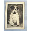 Image 4 : 3 Vintage Dog Engravings/Cards