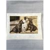 Image 5 : 3 Vintage Dog Engravings/Cards