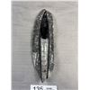 Image 3 : 8" Tall Orthoceras Fossil Specimen