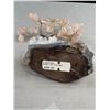 Image 4 : 6" Rose Quartz Crystal Tree