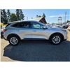 Image 7 : DUNCAN - 2020 FORD ESCAPE GREY 170184 KMS - A13404